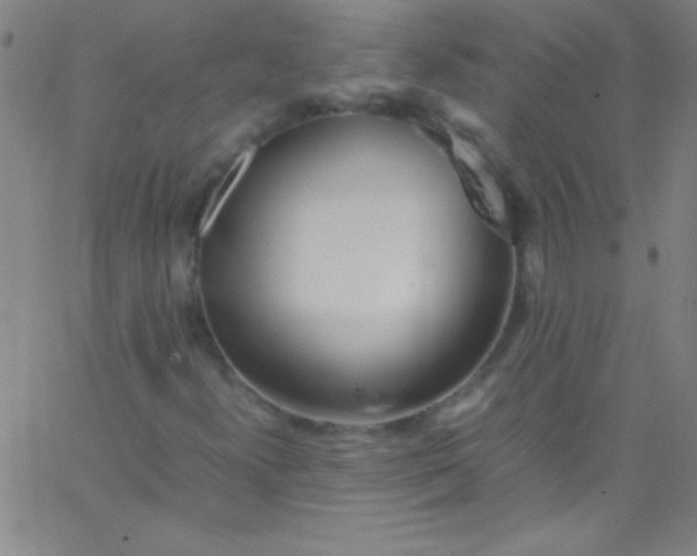 X0000067951300200604272049