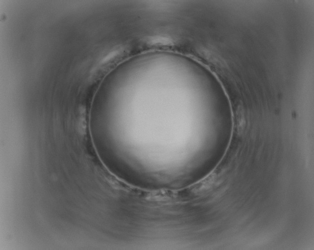 X0000067951301200604272049