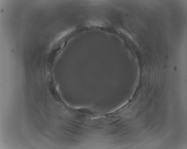 X0000067951303200604272049