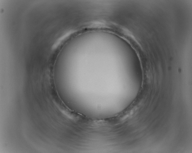 X0000067951304200604272049