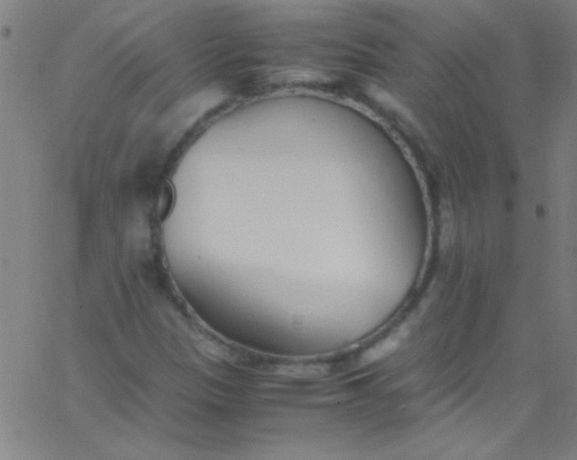 X0000067951305200604272049