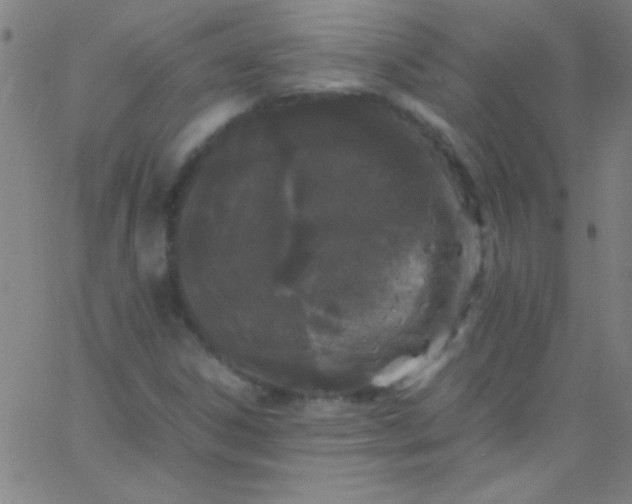 X0000067951306200604272049