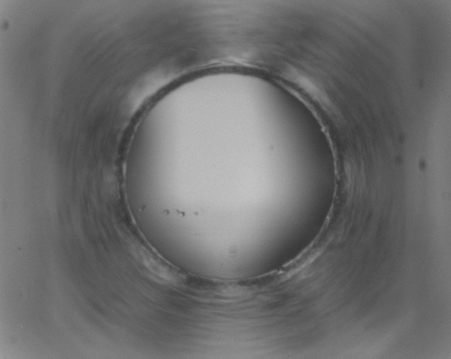 X0000067951308200604272049