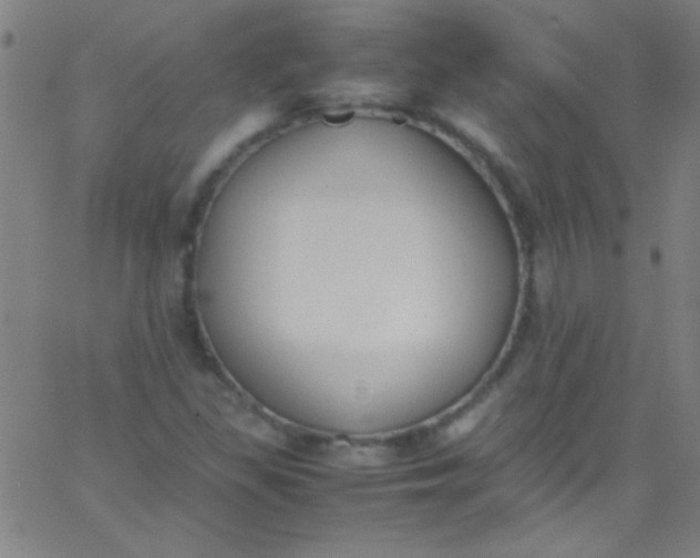 X0000067951309200604272049