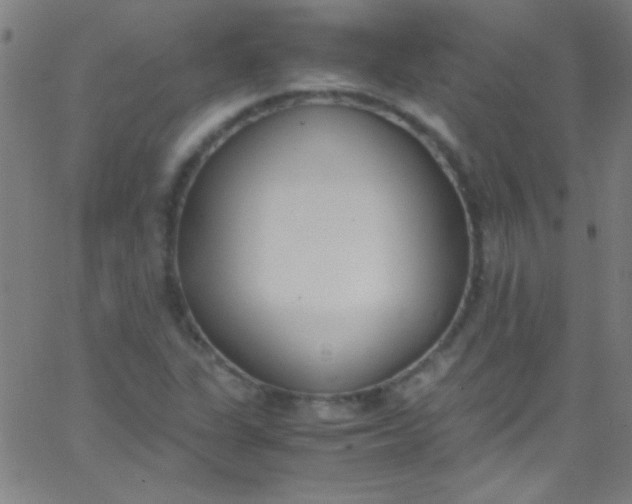 X0000067951311200604272049