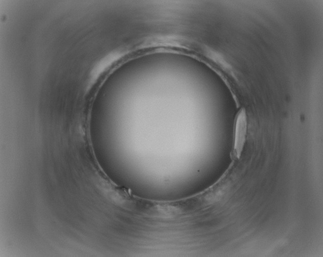 X0000067951312200604272049