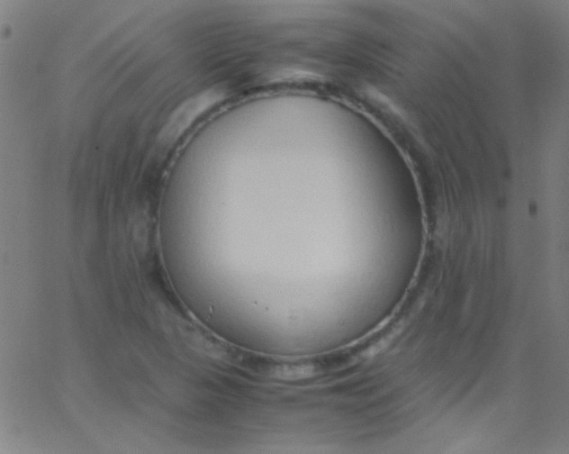 X0000067951313200604272049