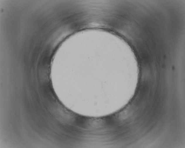 X0000067951314200604272049