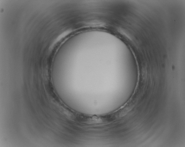 X0000067951315200604272049