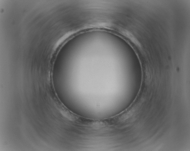 X0000067951316200604272049