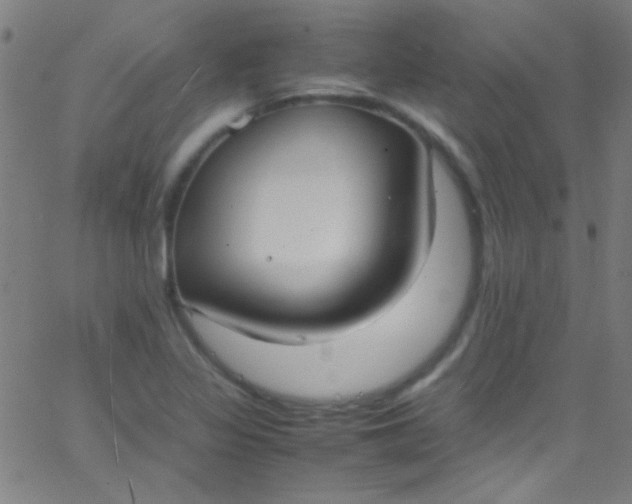 X0000067951317200604272049