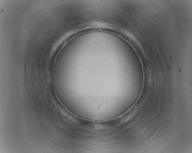 X0000067951318200604272049