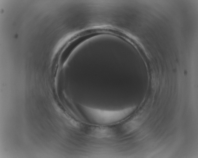 X0000067951319200604272049