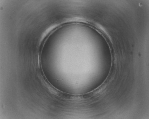 X0000067951320200604272049