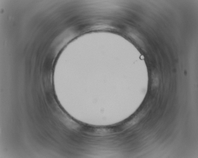 X0000067951322200604272049