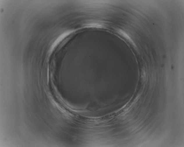 X0000067951323200604272049