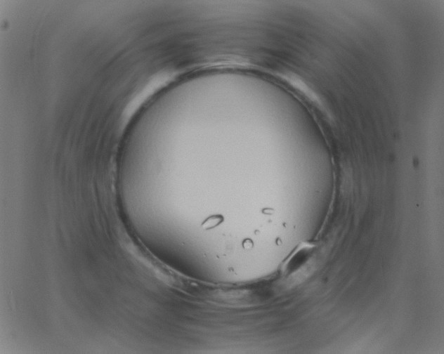 X0000067951325200604272049