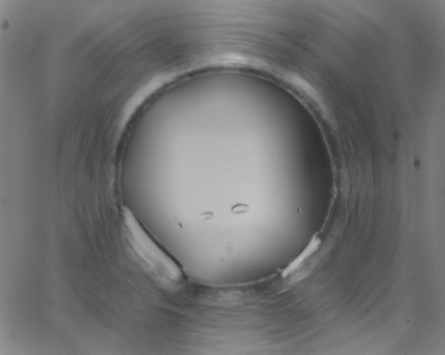 X0000067951326200604272049