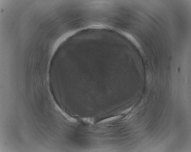 X0000067951327200604272049