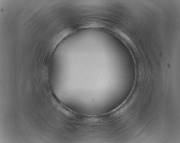 X0000067951329200604272049