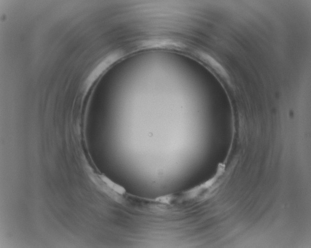 X0000067951330200604272049