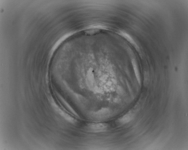 X0000067951331200604272049