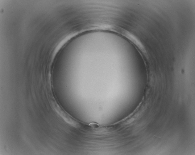 X0000067951332200604272049