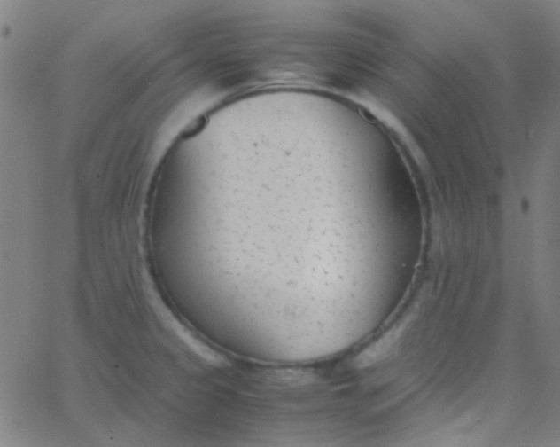 X0000067951333200604272049