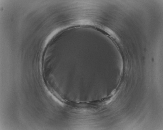 X0000067951334200604272049