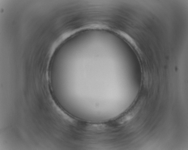 X0000067951335200604272049