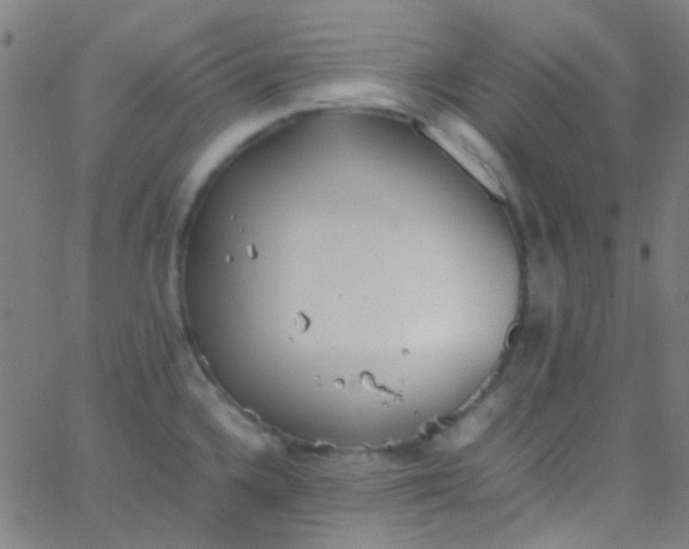 X0000067951336200604272050