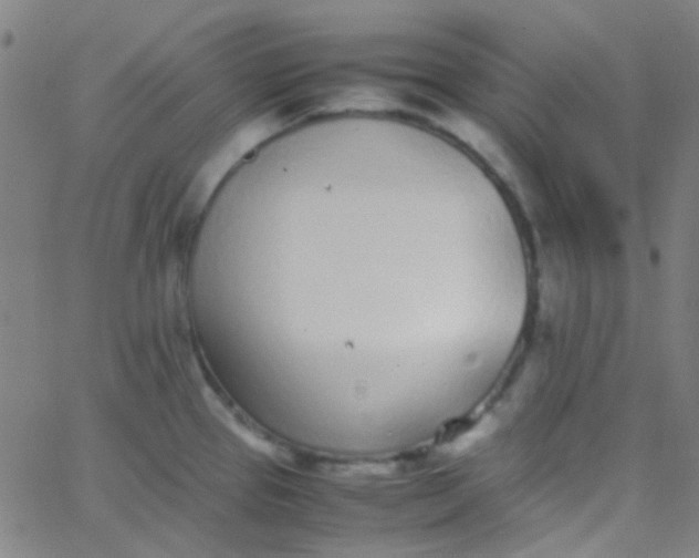 X0000067951337200604272050