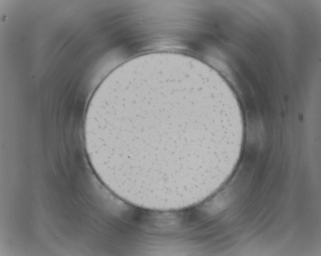 X0000067951338200604272050