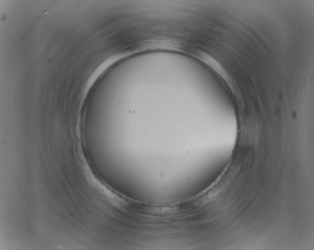 X0000067951339200604272050