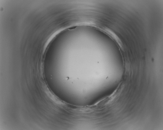 X0000067951340200604272050