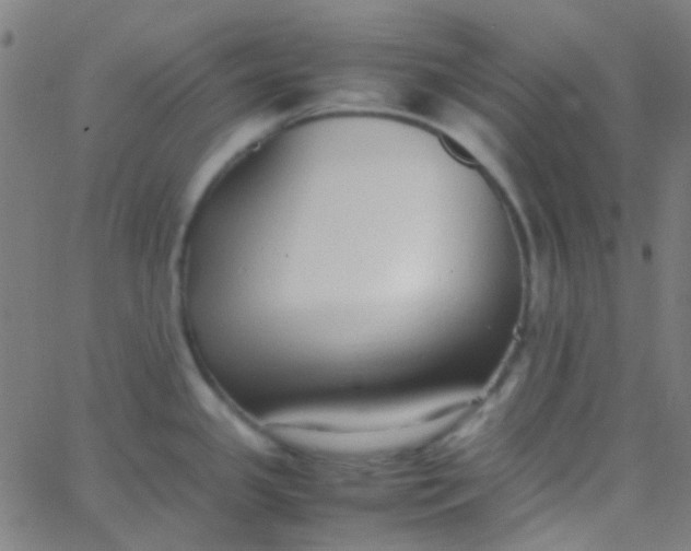 X0000067951341200604272050