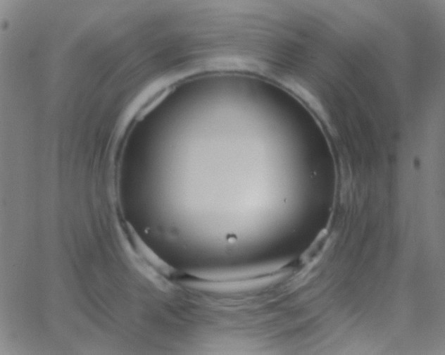 X0000067951342200604272050