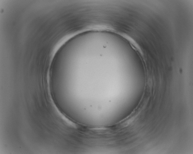 X0000067951343200604272050