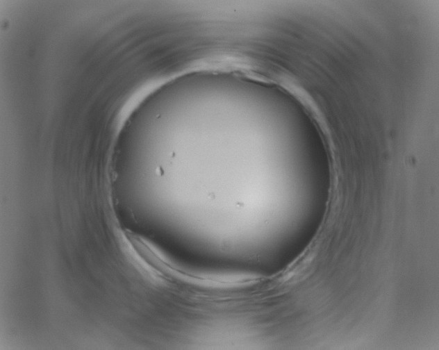 X0000067951344200604272050