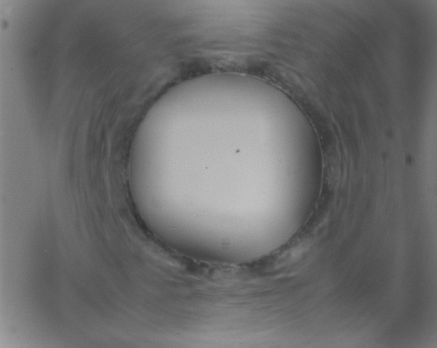 X0000067951345200604272049