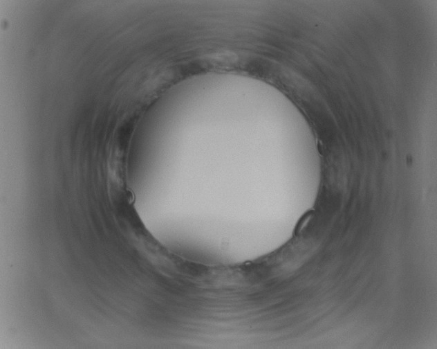 X0000067951346200604272049