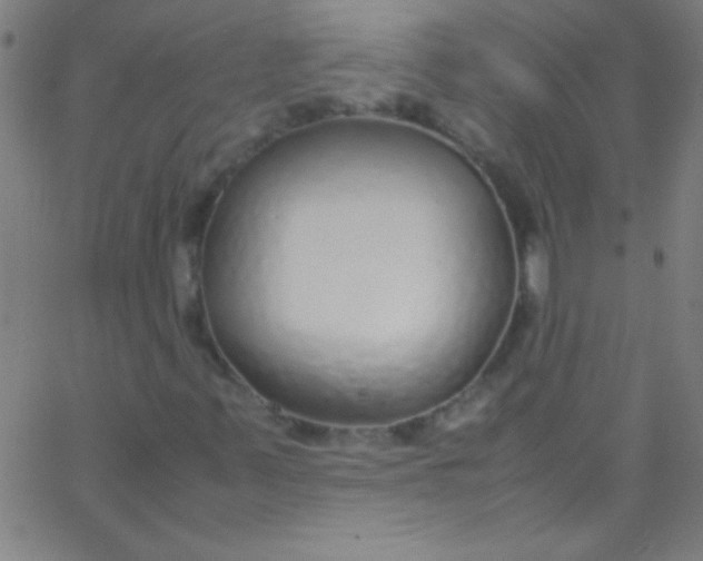 X0000067951347200604272049