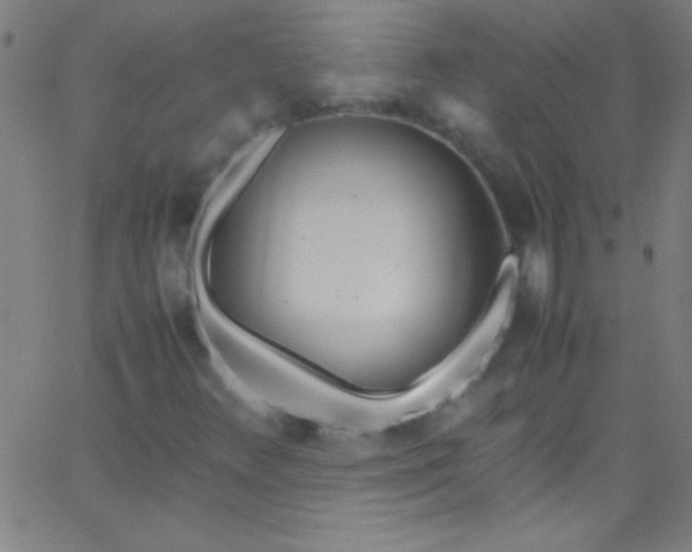 X0000067951348200604272049