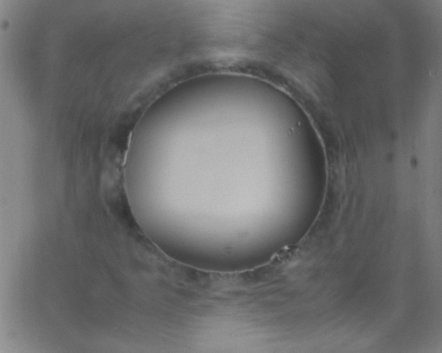 X0000067951349200604272049