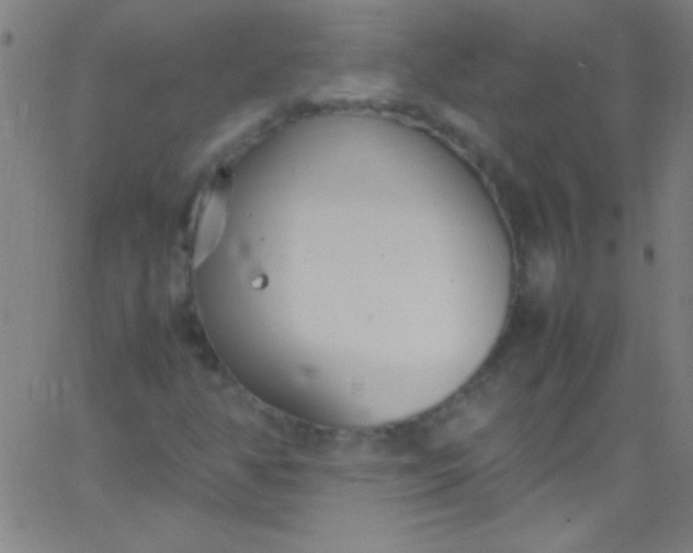 X0000067951350200604272049