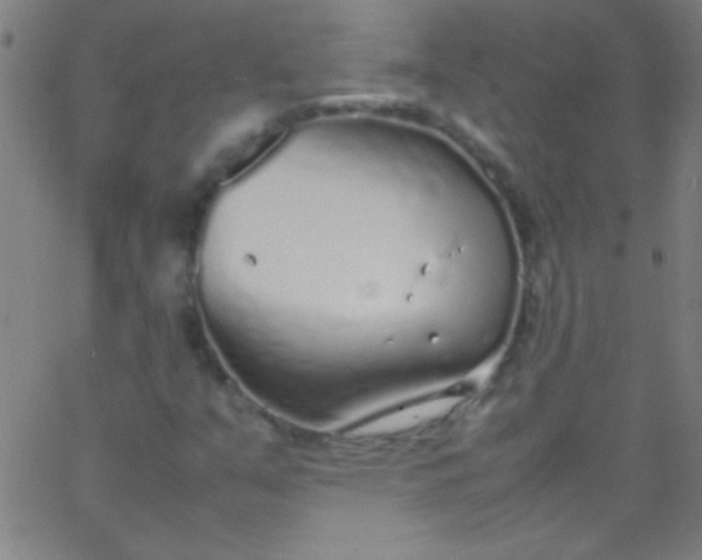 X0000067951351200604272049