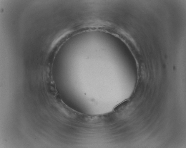 X0000067951352200604272049