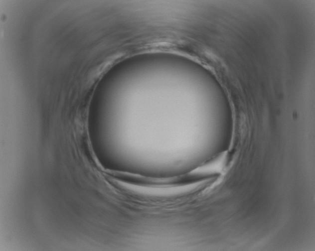 X0000067951353200604272049