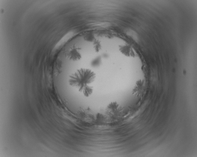 X0000067951354200604272049