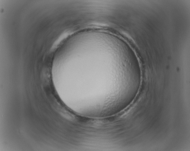 X0000067951355200604272049